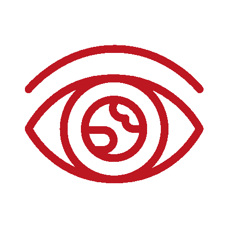 Vision